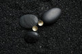 Moonlight Earrings