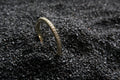 Eternity Ring